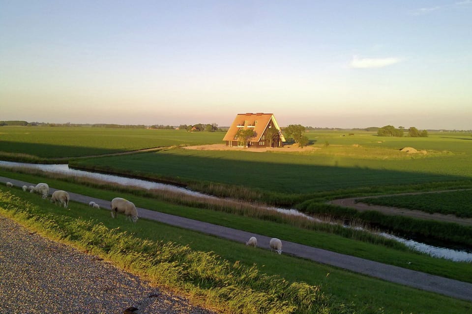 Immediate Surroundings [summer] (<1 km)