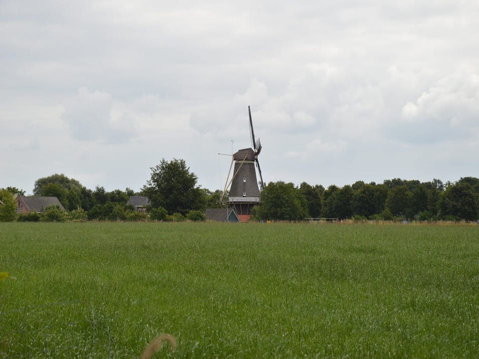 Region [summer] (>5 km)