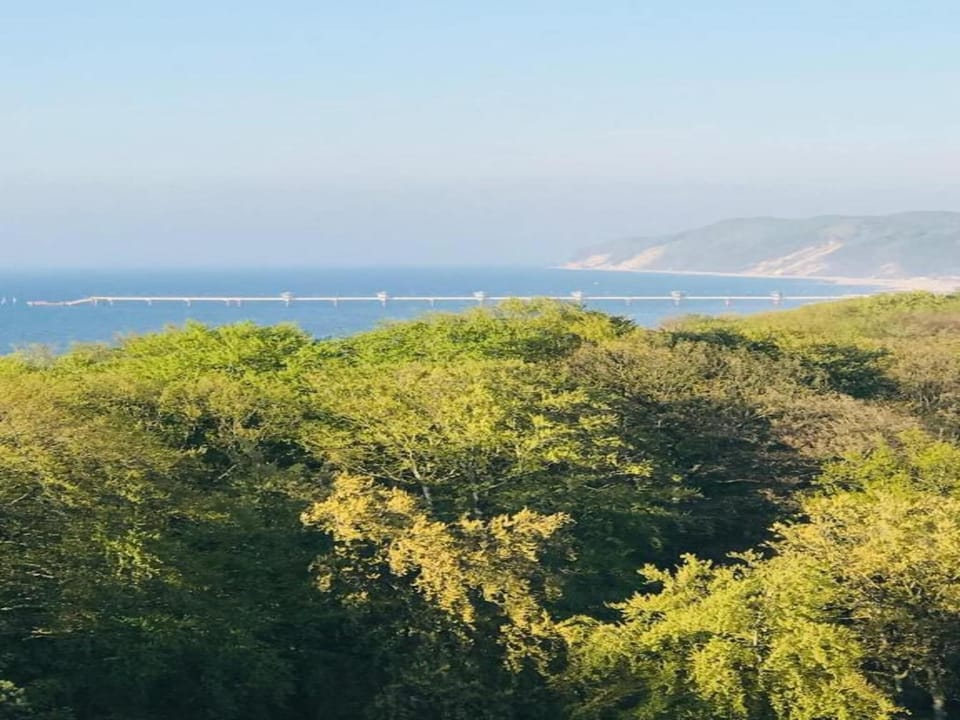 Region [summer] (>5 km)