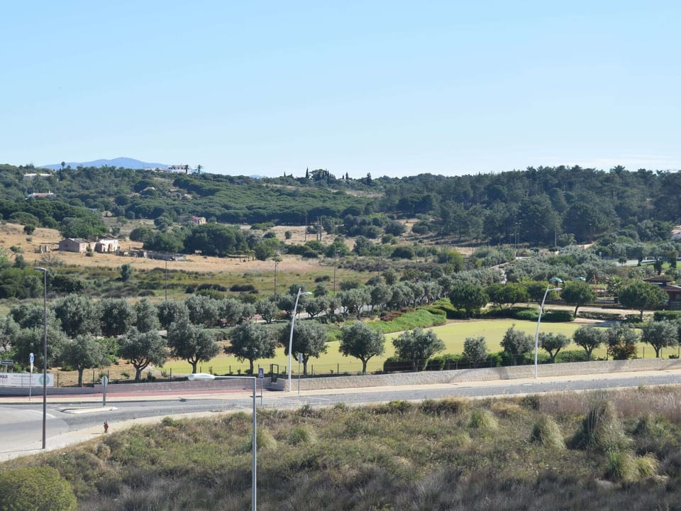 Region [summer] (>5 km)