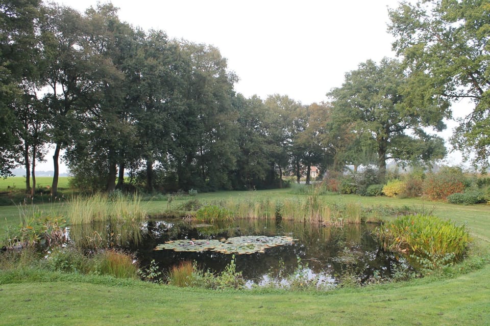 Garden [summer]