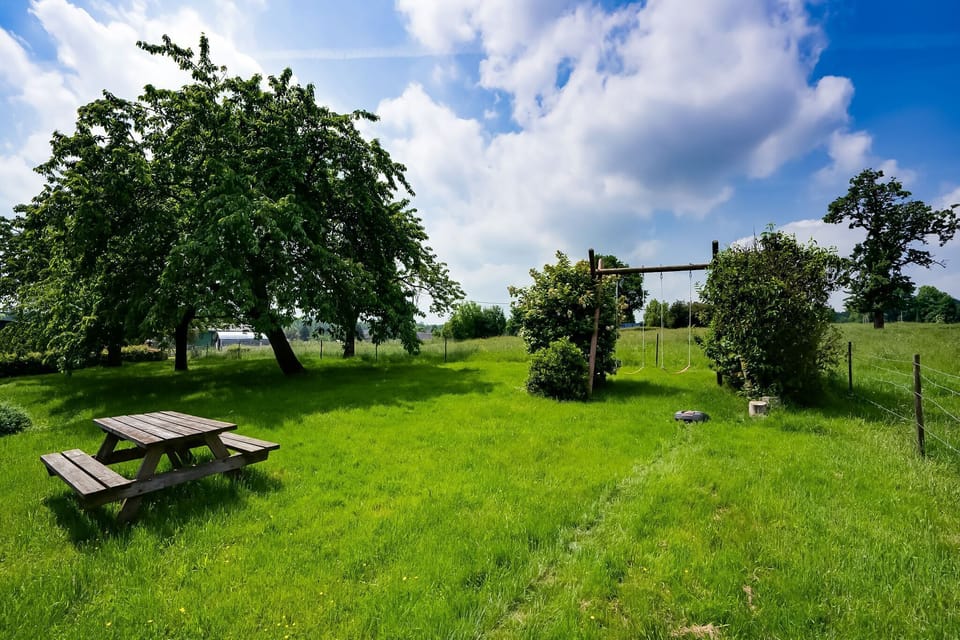 Garden [summer]