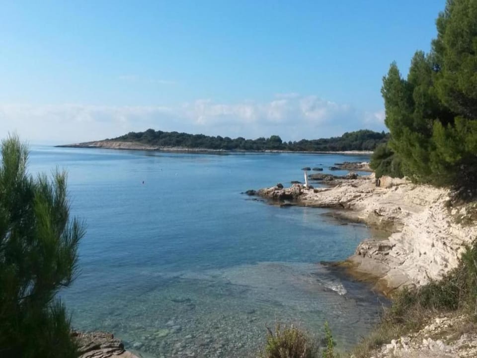 Region [summer] (>5 km)
