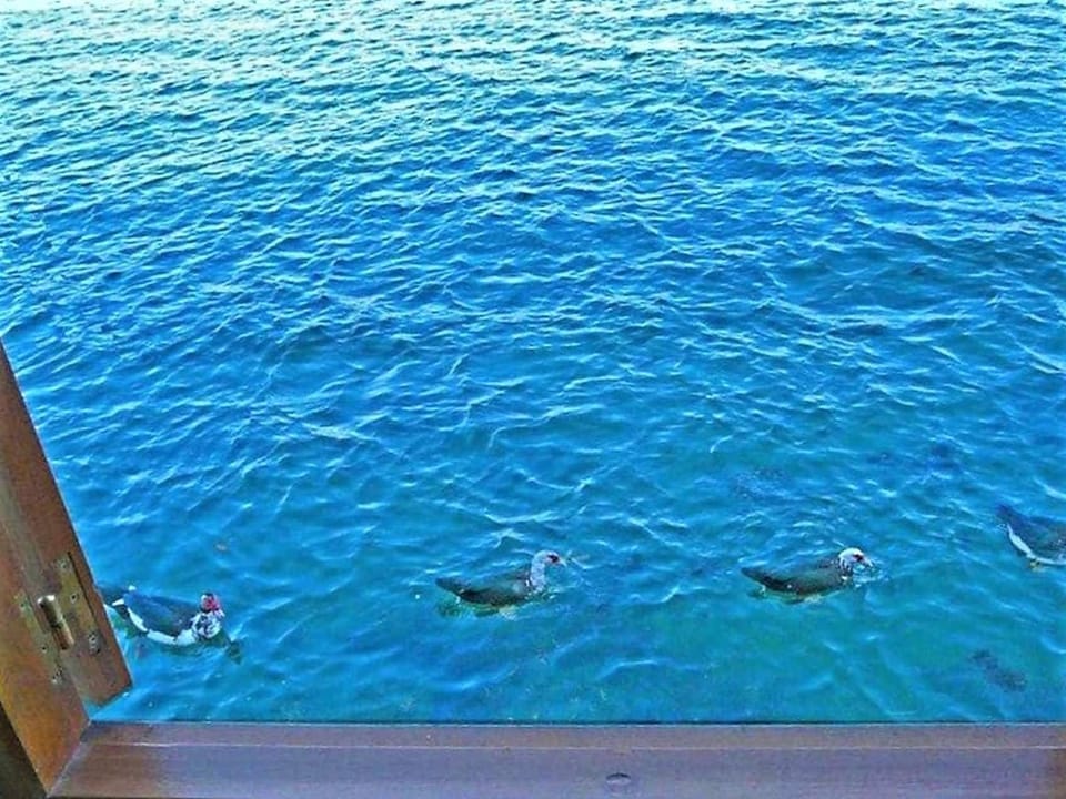 View from Holiday Home [summer]