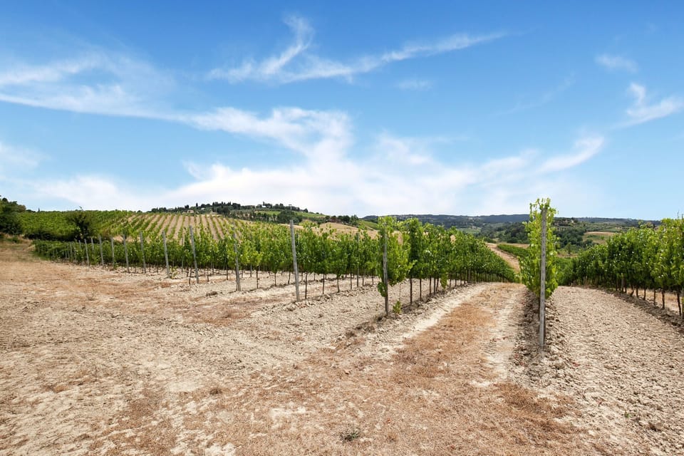 Surroundings [summer] (1-5 km)