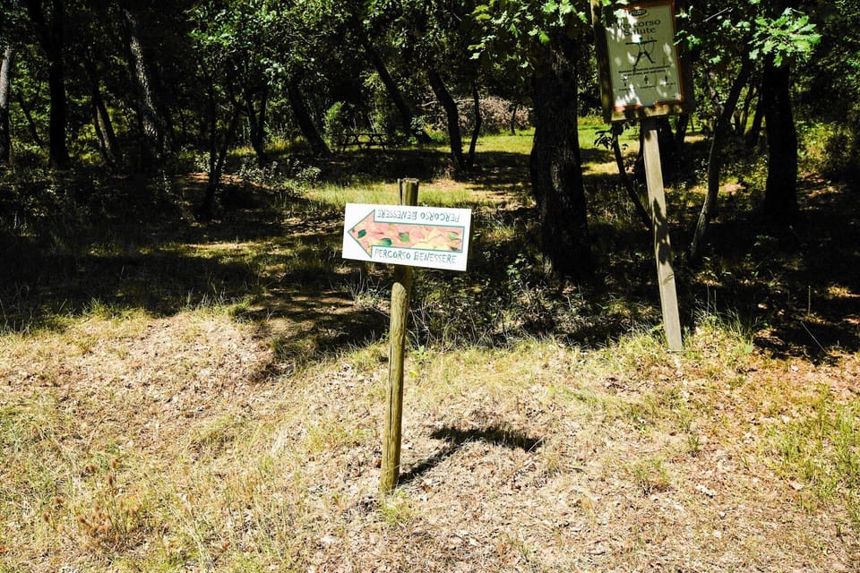 Immediate Surroundings [summer] (<1 km)