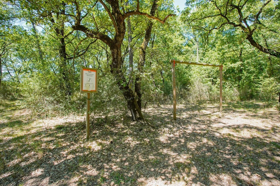 Immediate Surroundings [summer] (<1 km)