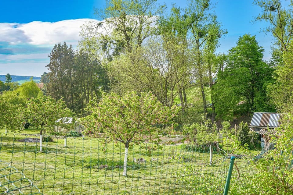 Immediate Surroundings [summer] (<1 km)