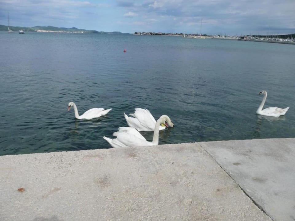 Surroundings [summer] (1-5 km)