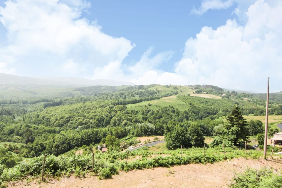Surroundings [summer] (1-5 km)