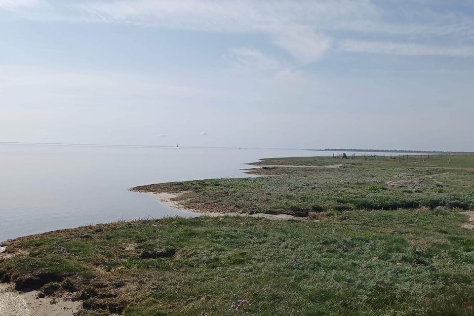 Water view