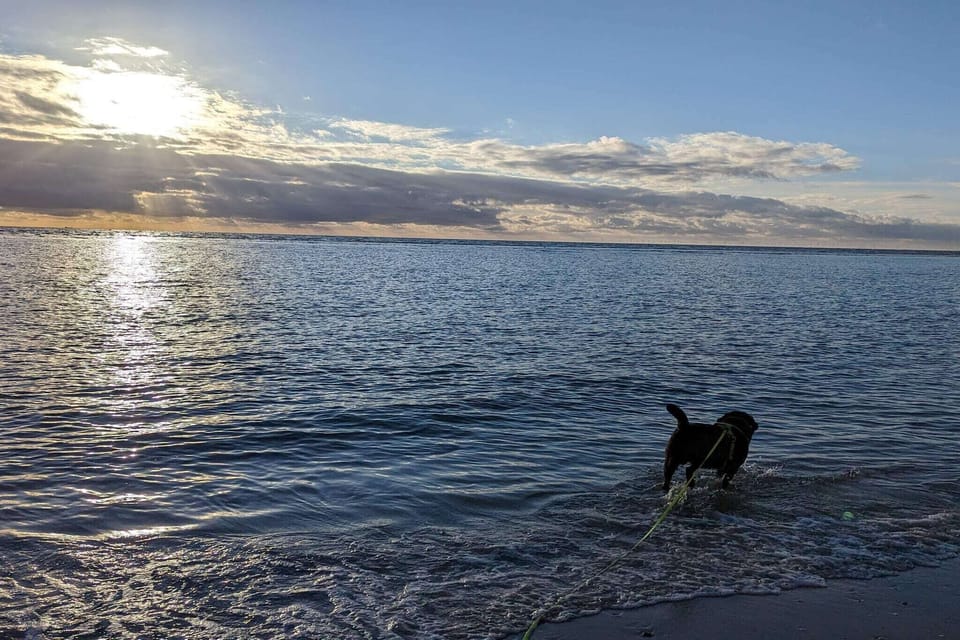 Water view
