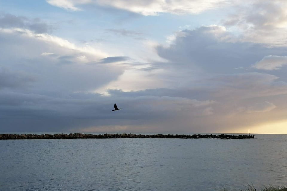 Water view