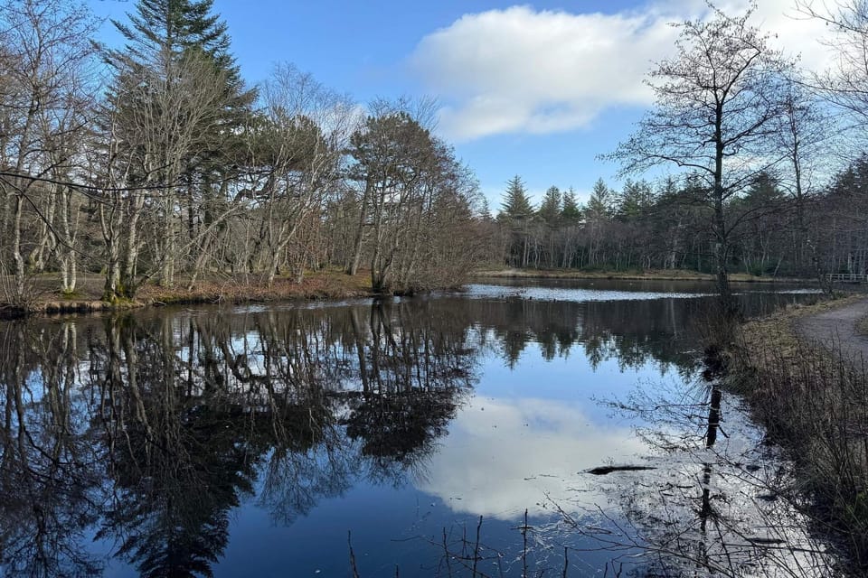 Water view