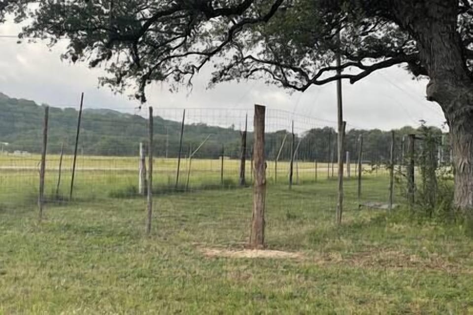 Dog Run available for your use 
