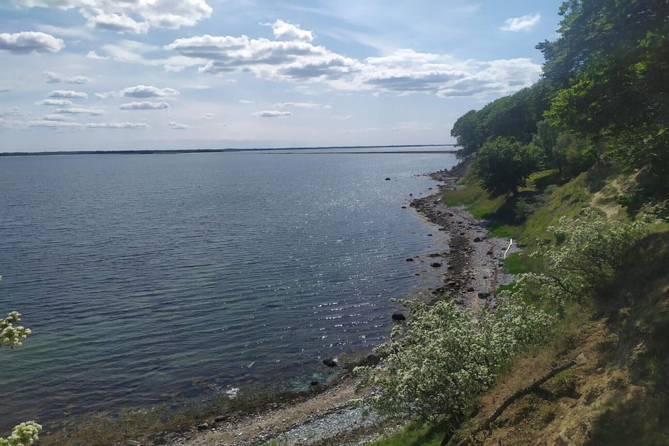 Water view
