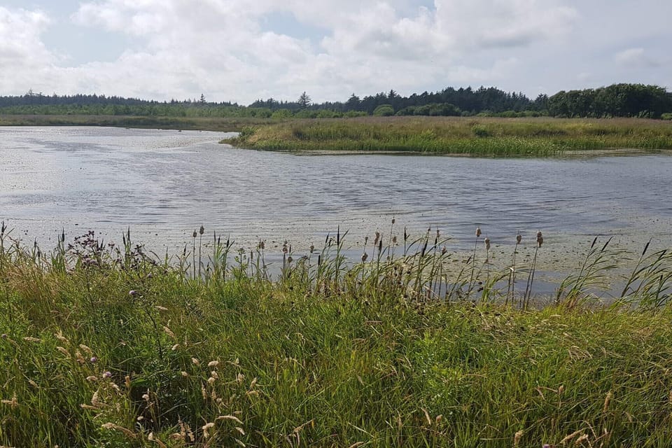 Water view