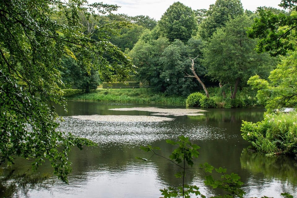 Water view