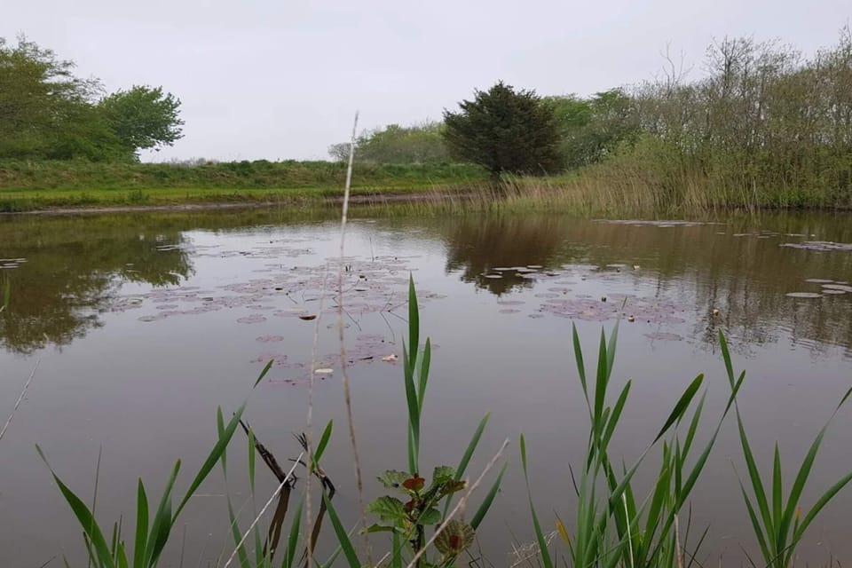 Water view