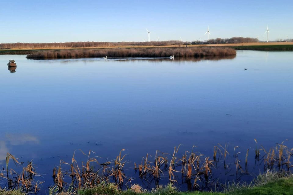 Water view