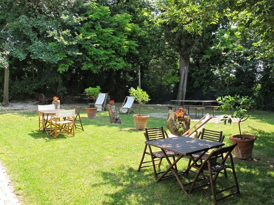 Plant, Table, Furniture, Plant Community, Chair, Outdoor Table, Tree, Leaf, Natural Landscape, Botany