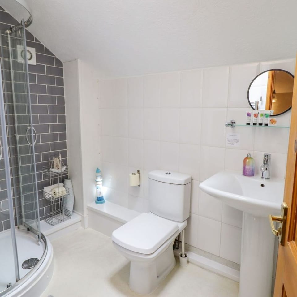 Modern shower room - heated towel rail, extractor and skylight. Towels provided