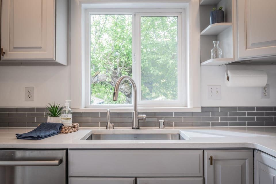 Kitchen sink and dishwasher