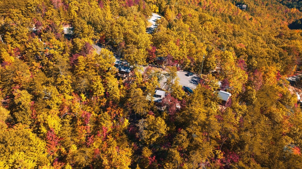 Mountain Views (Autumn)