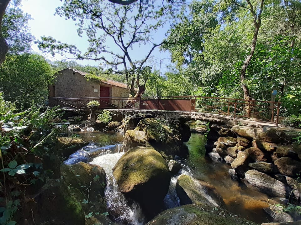 "Meunerie" Apartment, with balcony and garden access, located by the river near Clisson. Apartment in Pays de la Loire