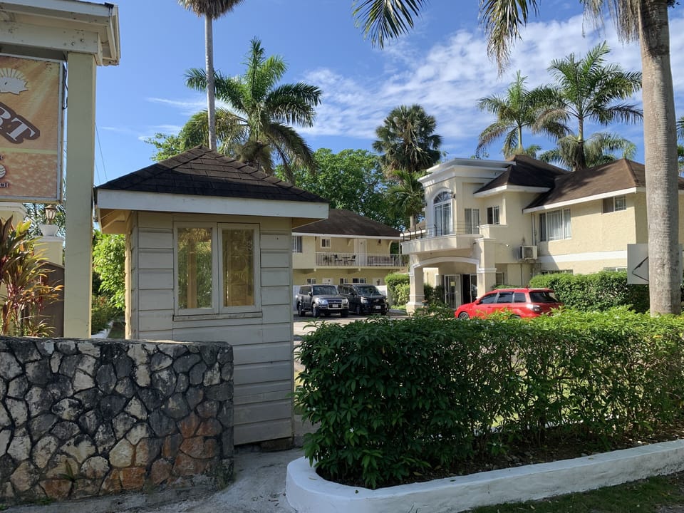 Neighborhood, Tree, Palm Tree, Path, Walkway