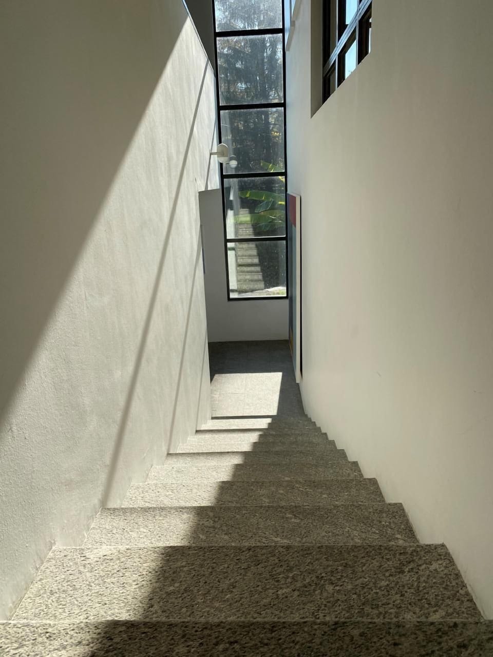 Picture 10