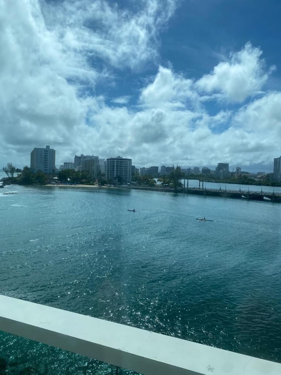 view