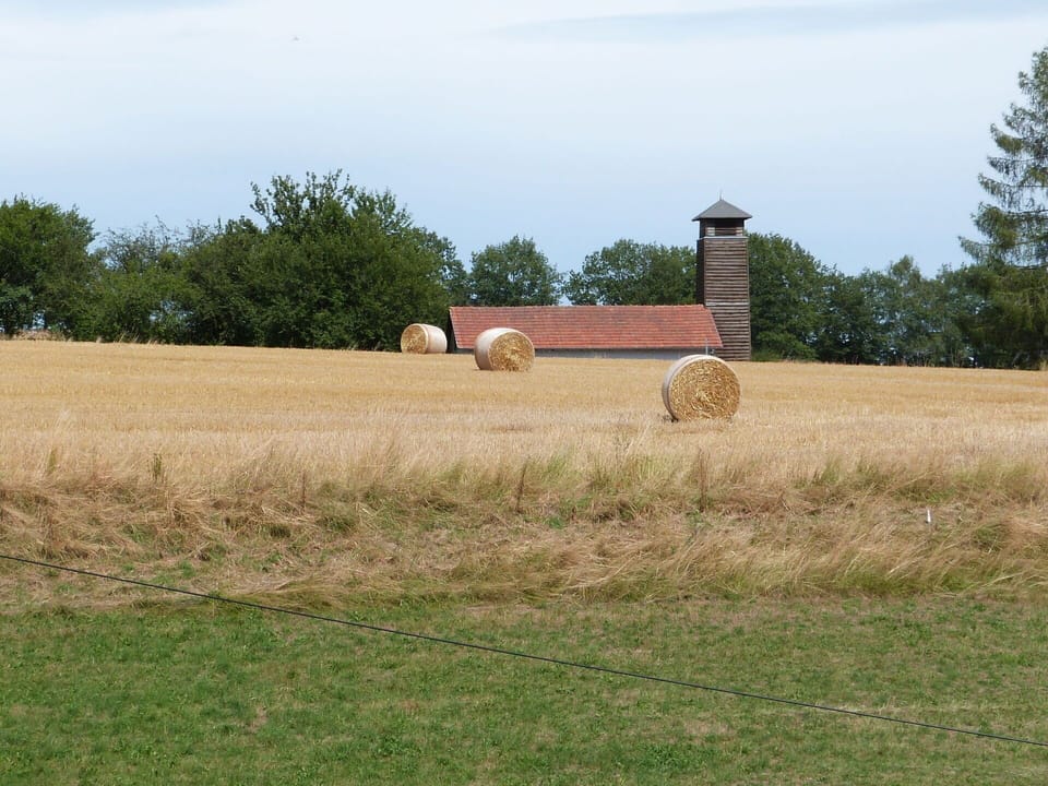 Sky, Property, Plant, Tree, Building, Land Lot, Slope, Shade, Asphalt, Wood