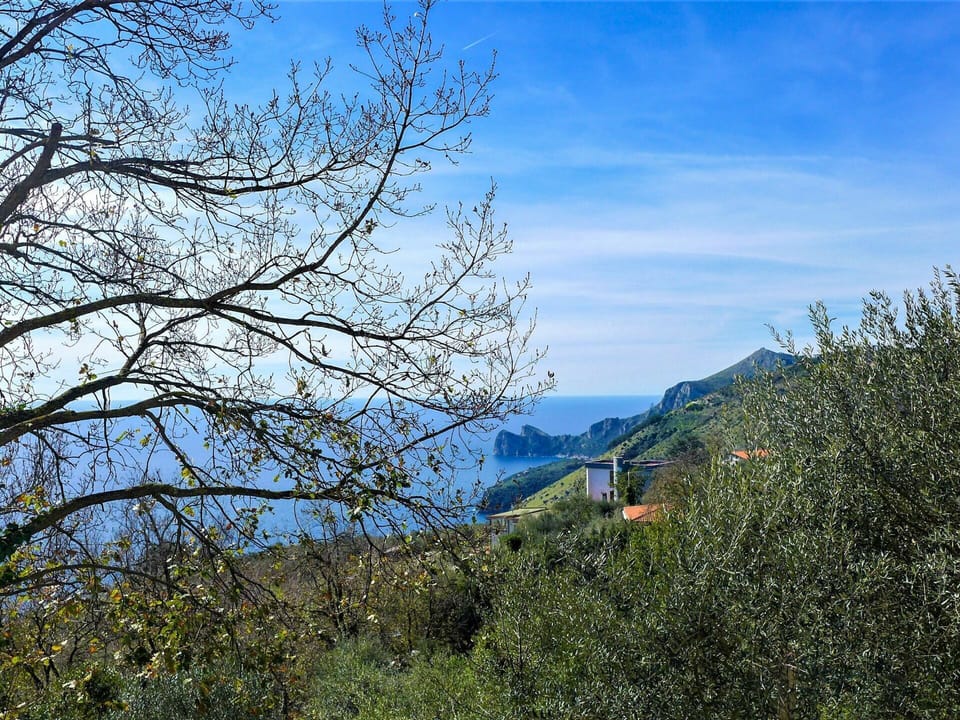 Sky, Cloud, Plant, Mountain, Natural Landscape, Tree, Twig, Slope, Wood, Mountainous Landforms