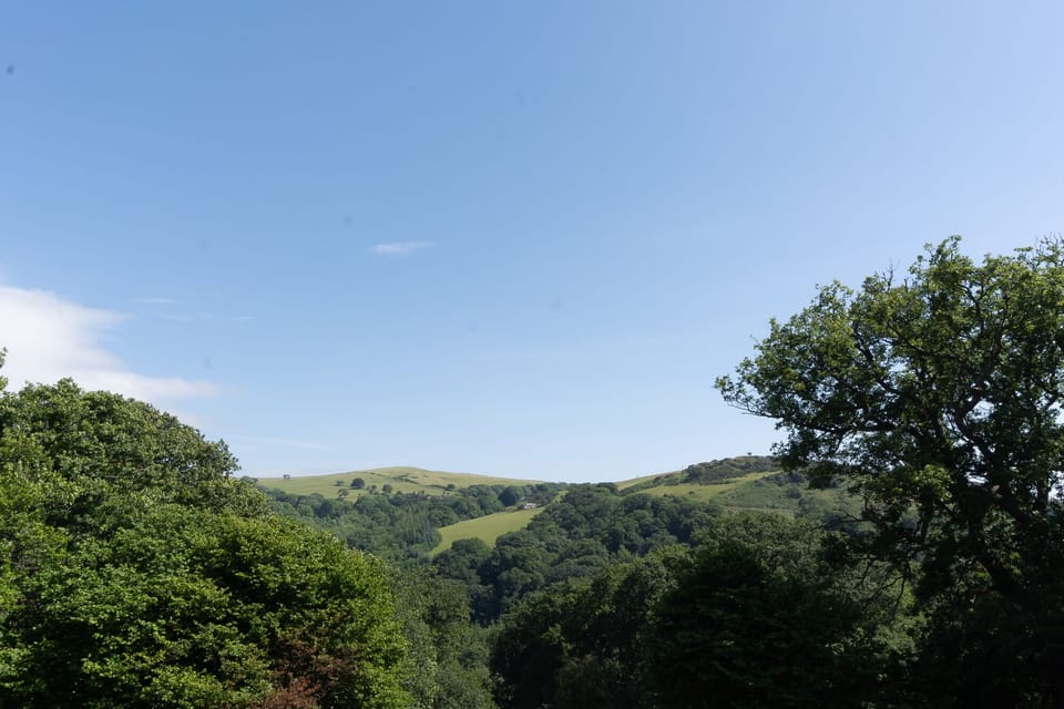 Image 30