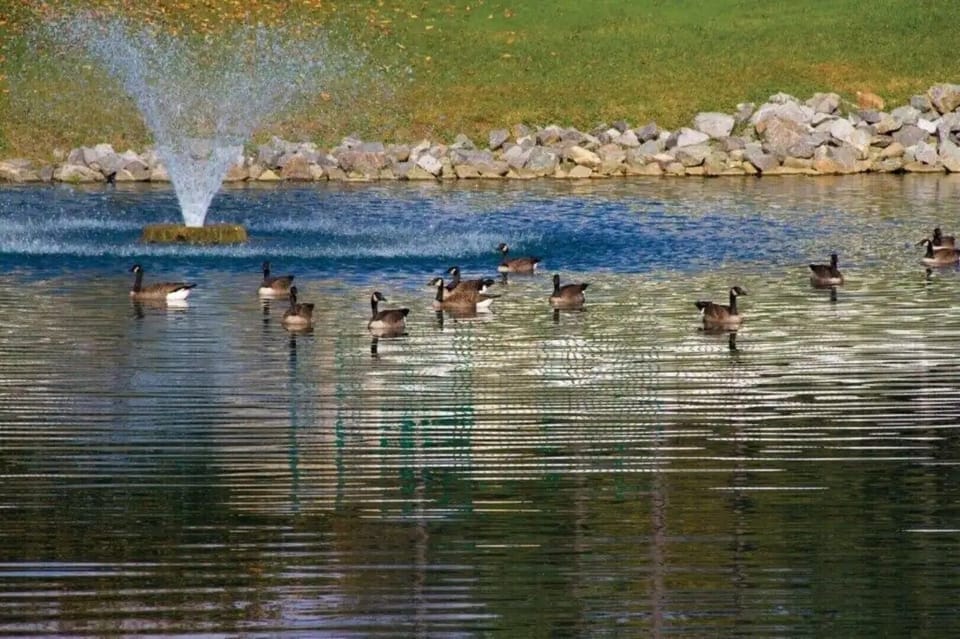 Lake