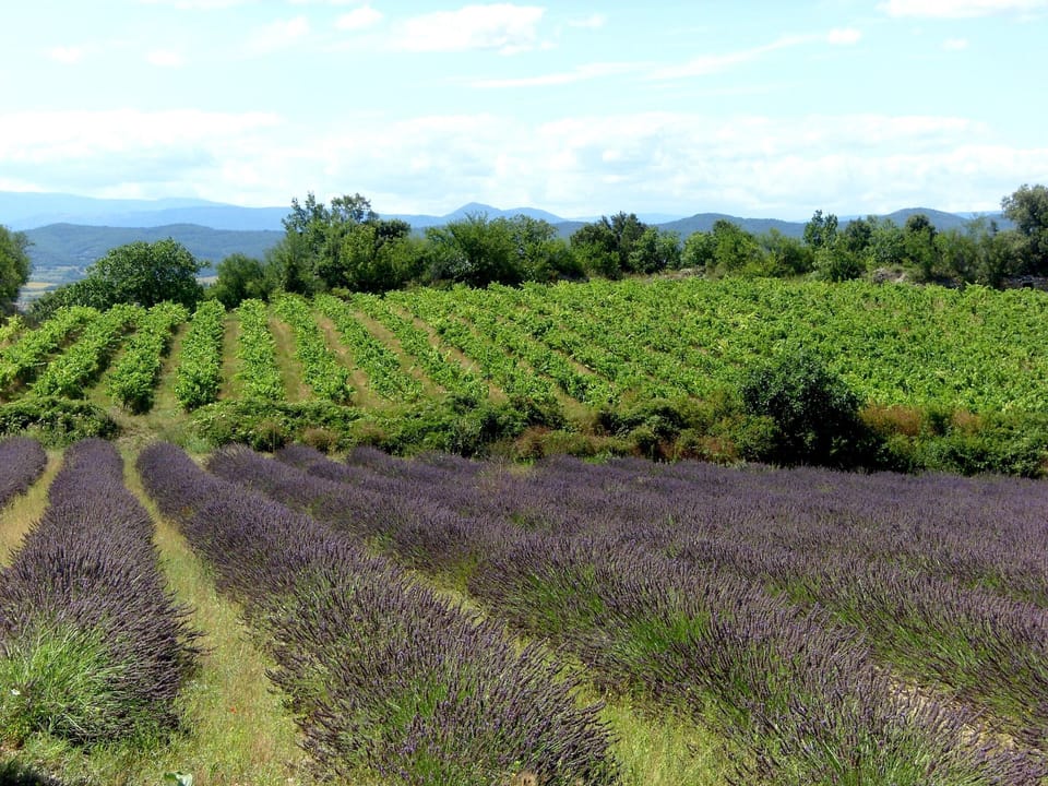Region [summer] (>5 km)