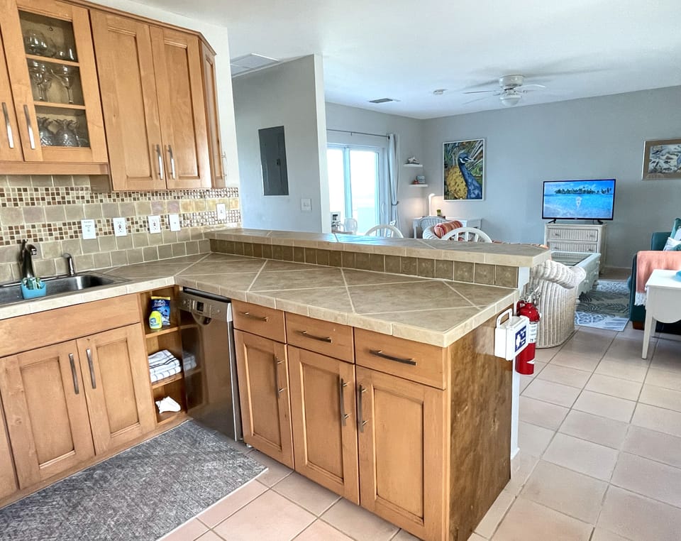 View from kitchen into living space.