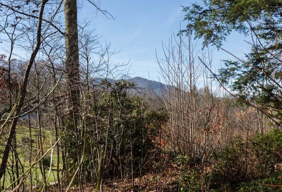 Small winter view of Grandfather Mountain