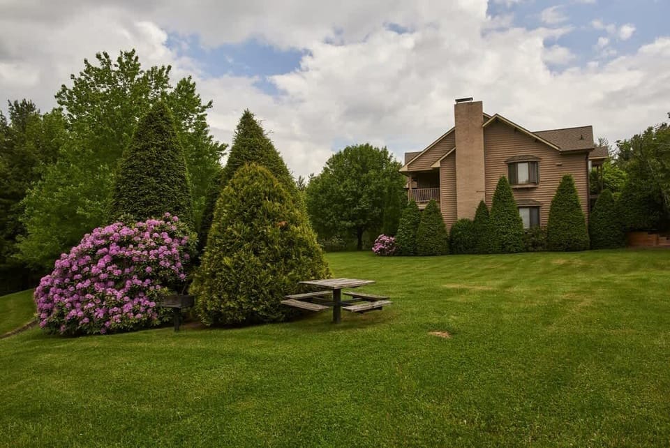 The Balsam building has gorgeous setting with a picnic table