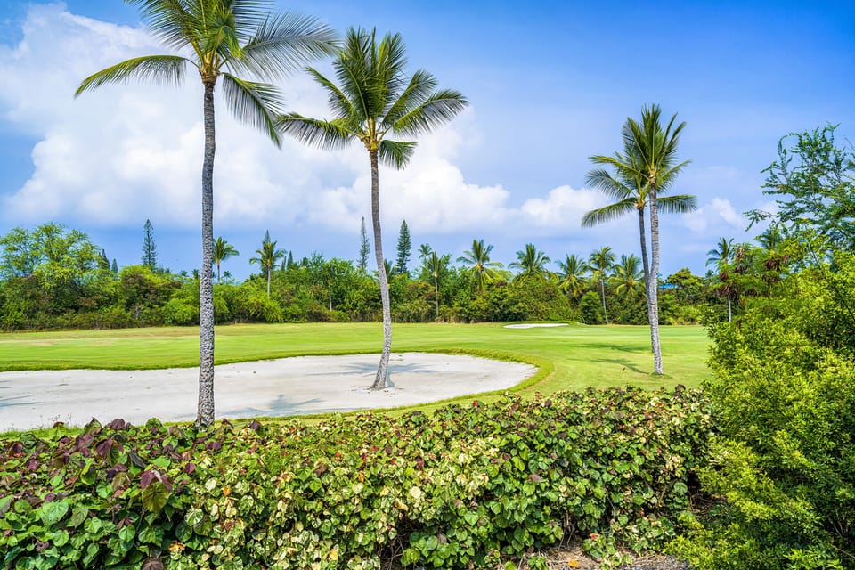 Views of the golf course