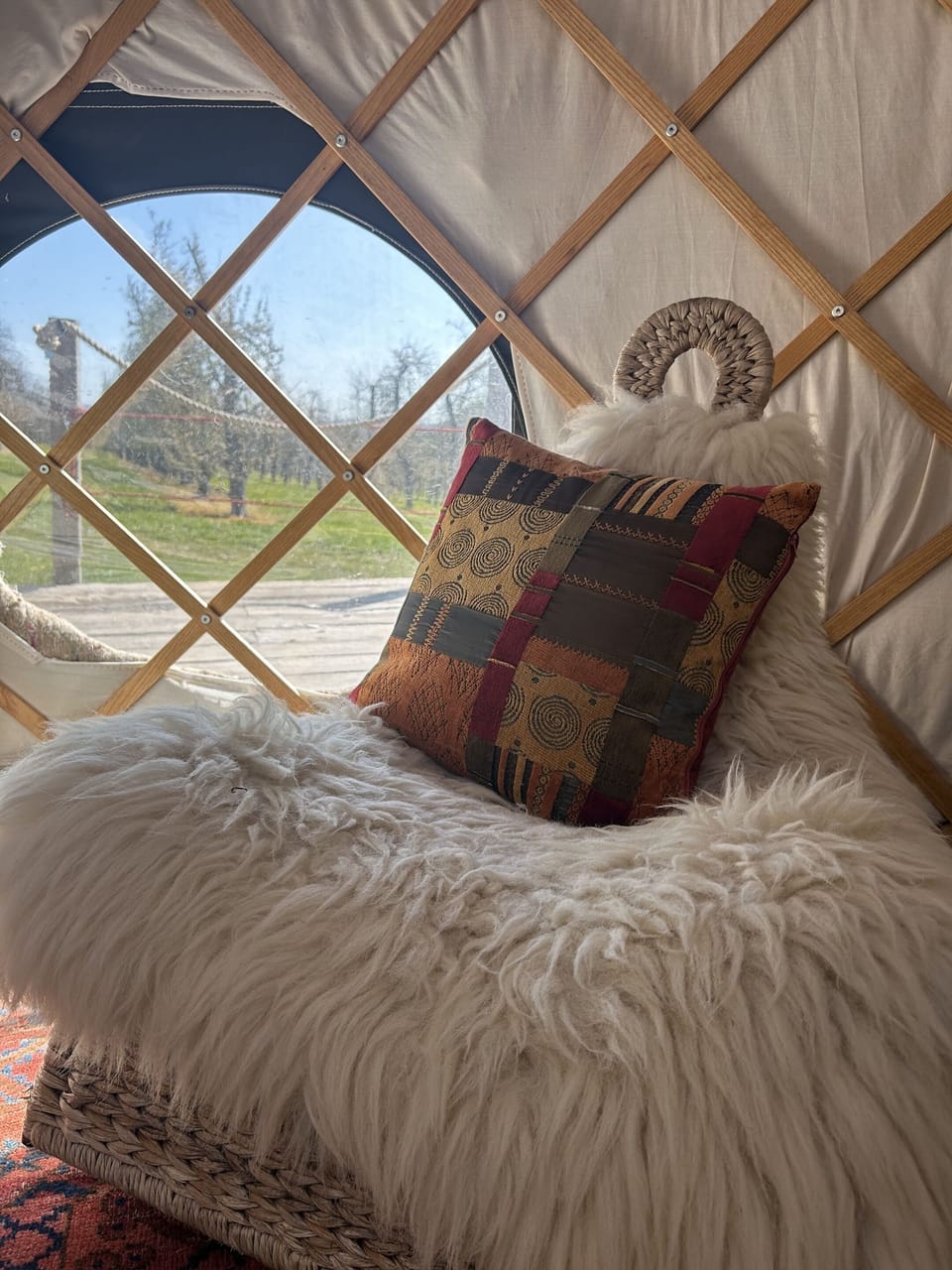 Zephyr Yurt's orchard views