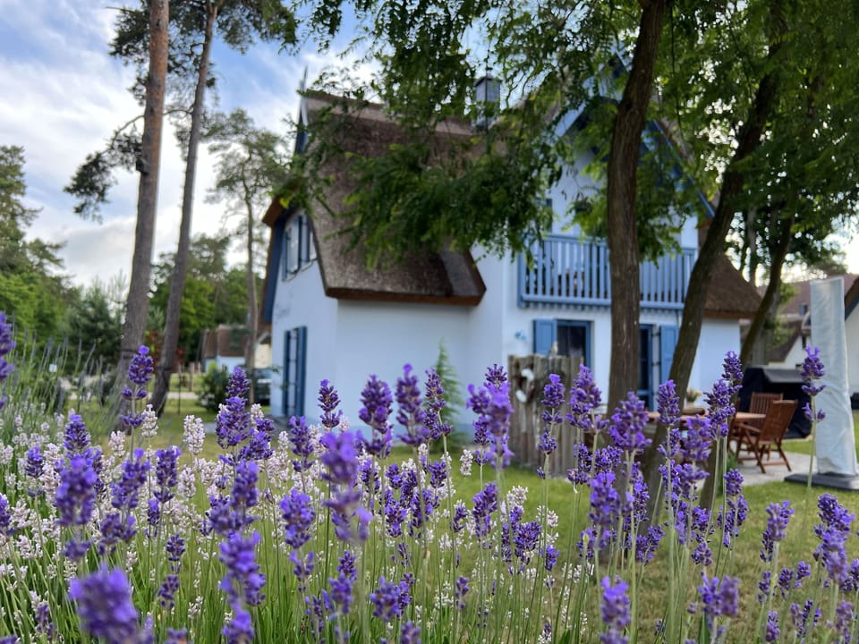 Vacation home Silbermöwe 136sqm three bedrooms- sauna & fireplace - Ferienhaus Silbermöwe-136 Cottage in Zirchow