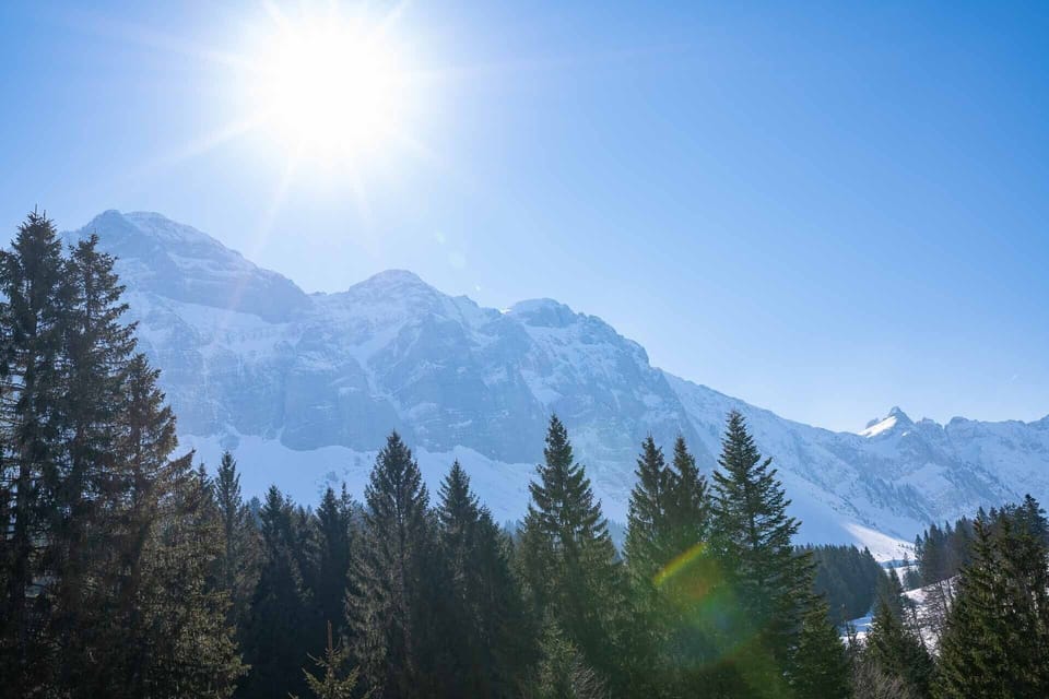 Apartment with garden at the foot of the Säntis Apartment in St. Gallen, Switzerland
