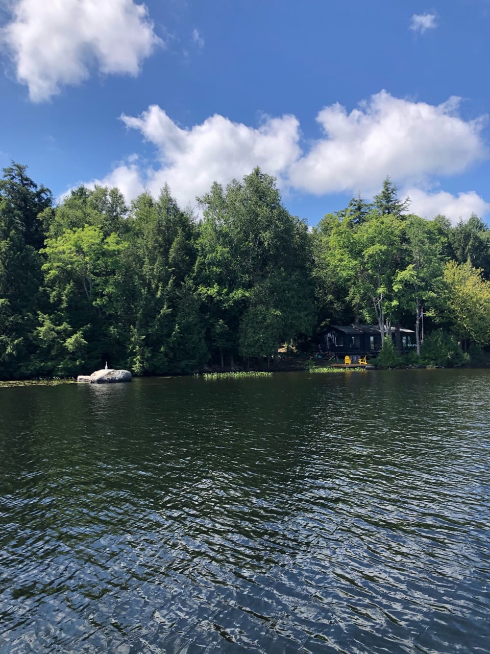 Over 300 feet of water frontage for privacy. 