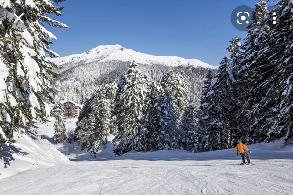 Snow and ski sports