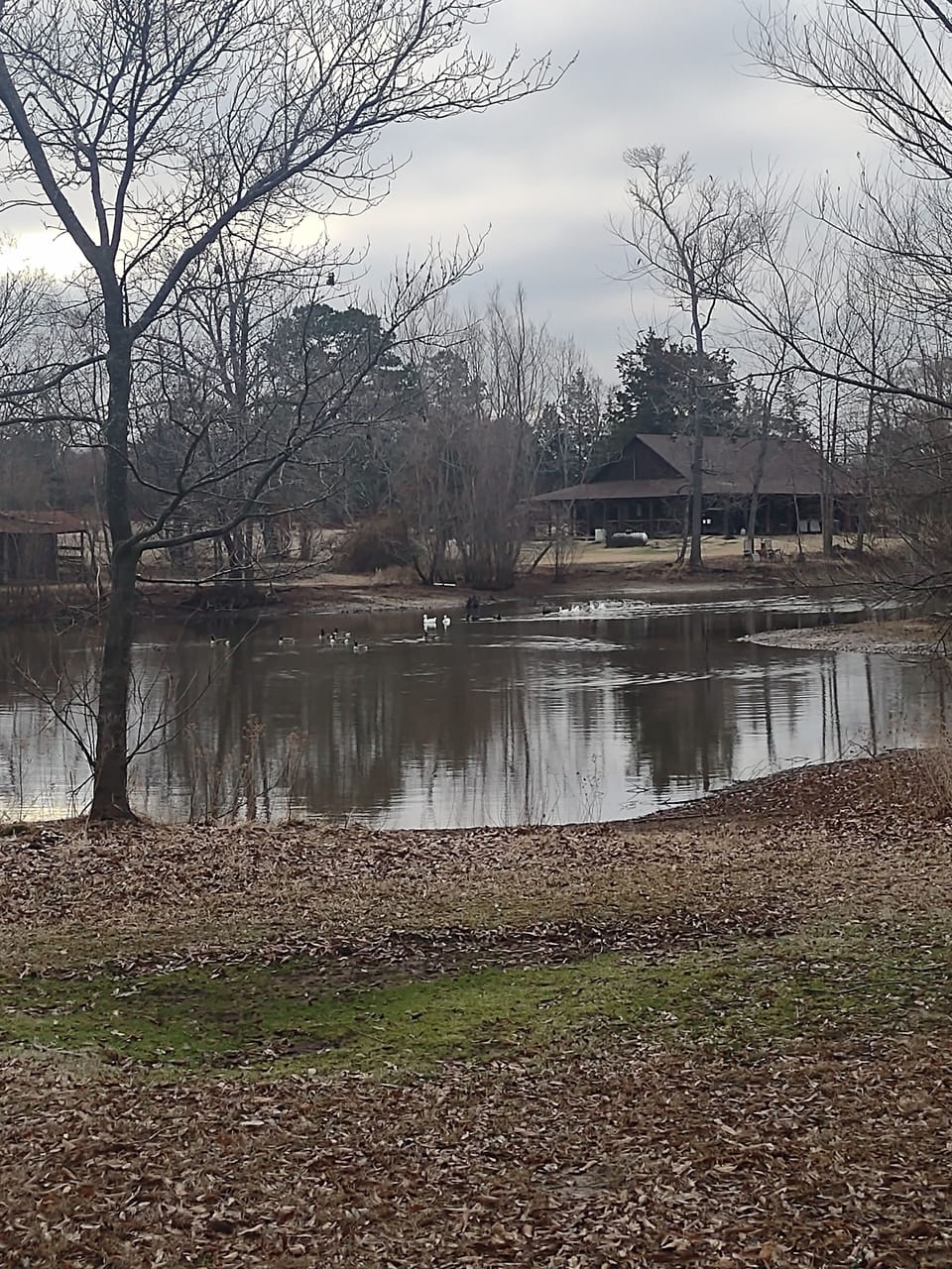 Pond and The Lodge