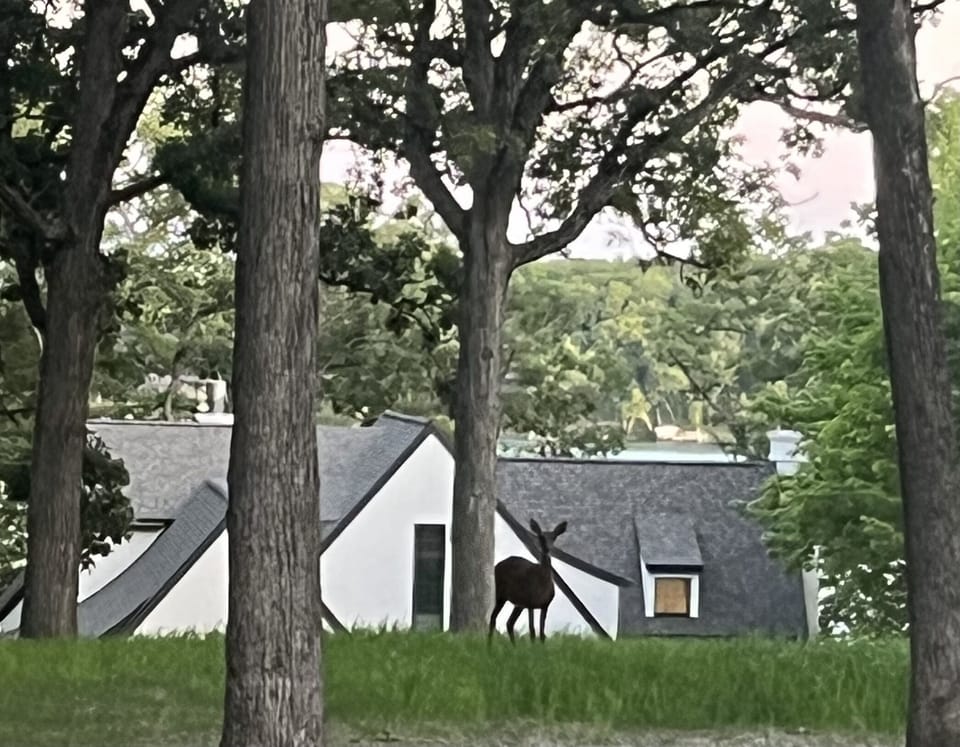 view from very large and private front yard
