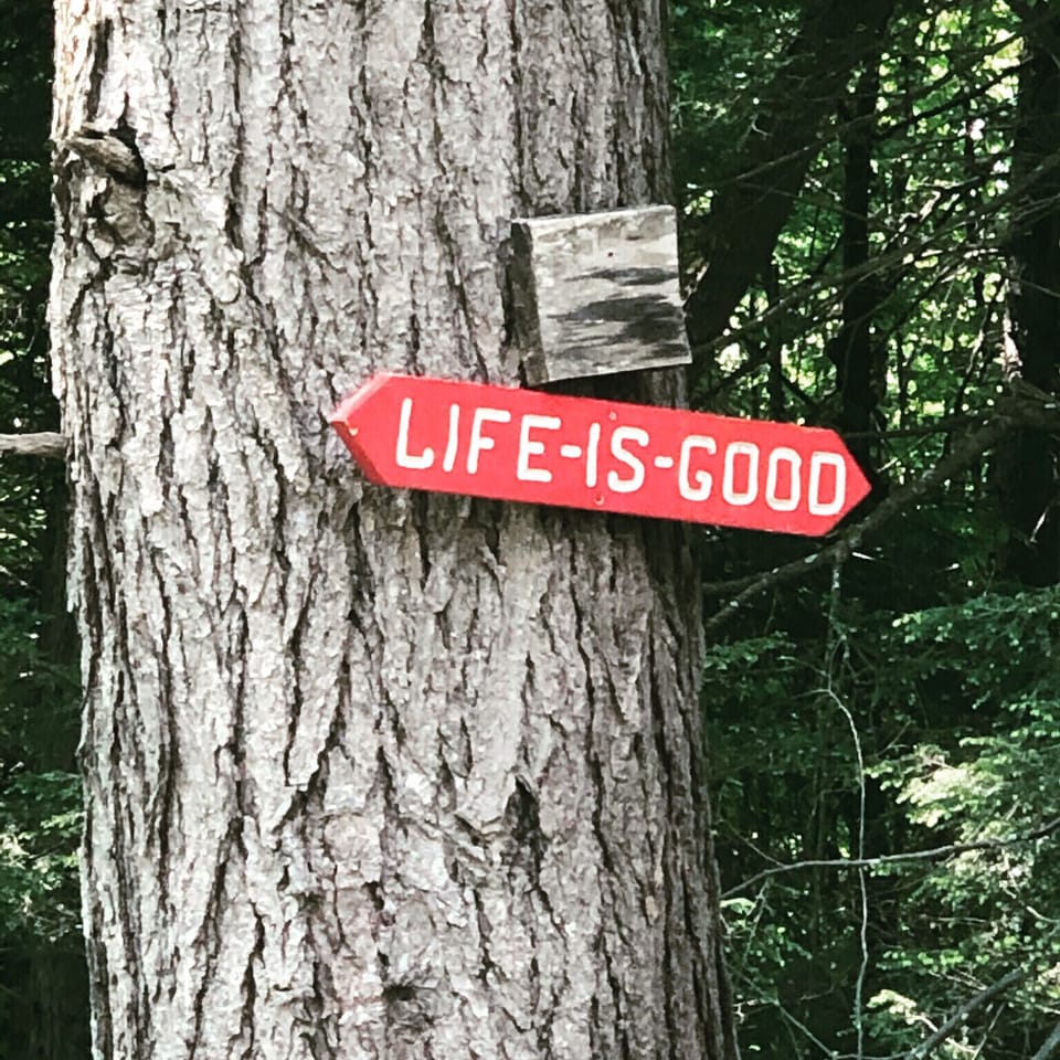 LIFE IS GOOD!!!!!