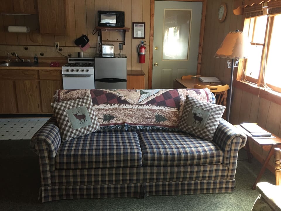 Nest Cottage living room and kitchen